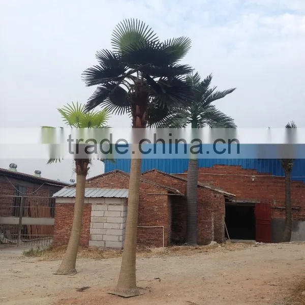 Artificial Outdoor Coconut Palm Tree , Fake Fiberglass Palm Tree