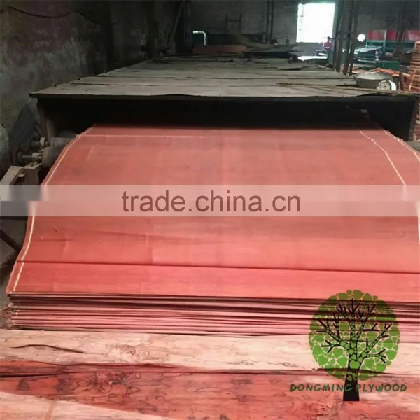 Veneers Type and Rotary Cut Technics Plb photo-2