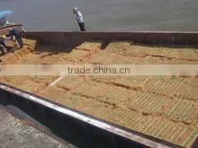 Coconut Fiber