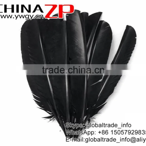 CHINAZP Cheapest Plumage Natural Dyed Black Turkey Pointers Quill Large Feathers Pens for Sale photo-2