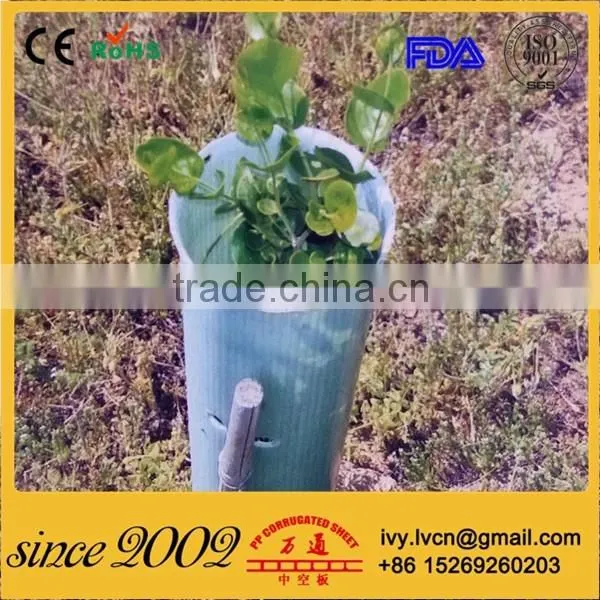 Folding Corrugated Plastic/Coreflute Tree Guard photo-2