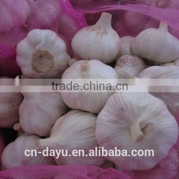 Red White Garlic Supplier 2016 Fresh