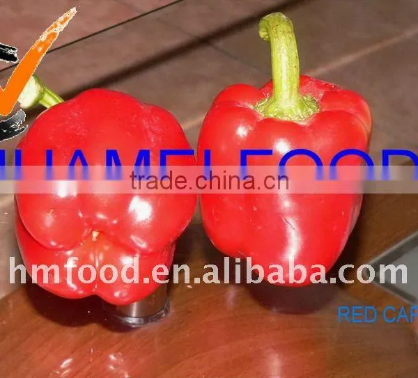 Fresh Chilli