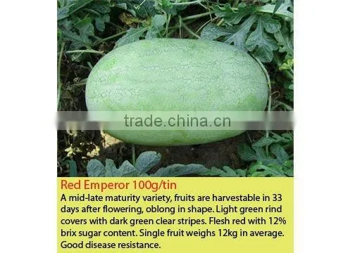 RED EMPEROR Hybrid Watermelon Seeds