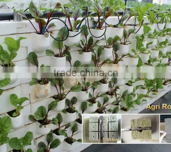 Agri rockwool starter cube