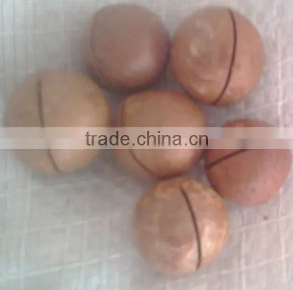 Macadamia Nut Cracker Machine Nuts Processing Machine in Vietnamese photo-3
