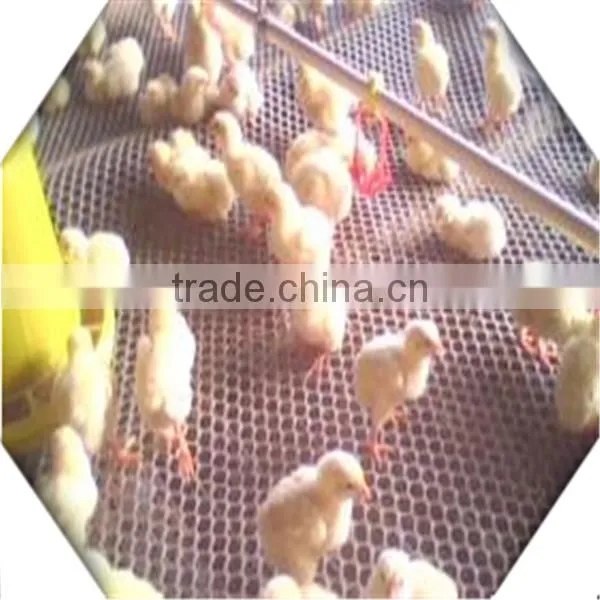 Plastic Wire Mesh Manufacture / High Quality PP PE Plastic Wire Mesh Factory photo-3