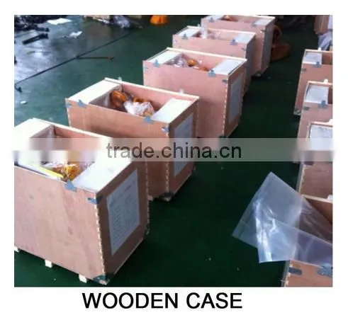 Small 500kg Electric Chain Hoist With Trolley for Sale photo-6