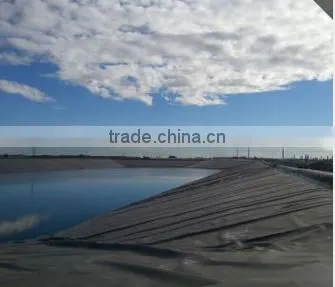 Hdpe Geomembrane Liner photo-3
