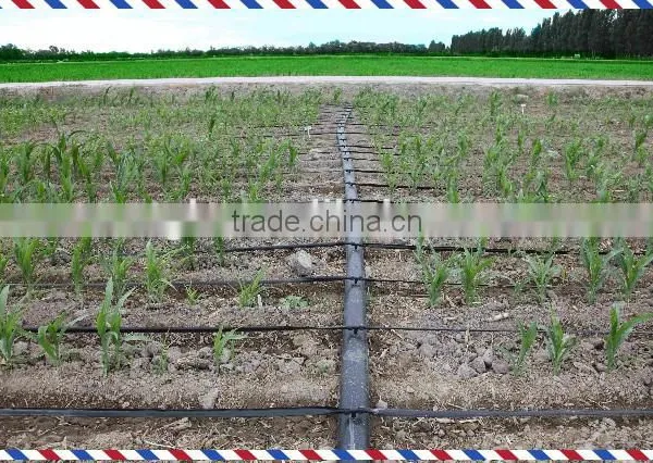 Plastice Drip Tape for Irrigation photo-2