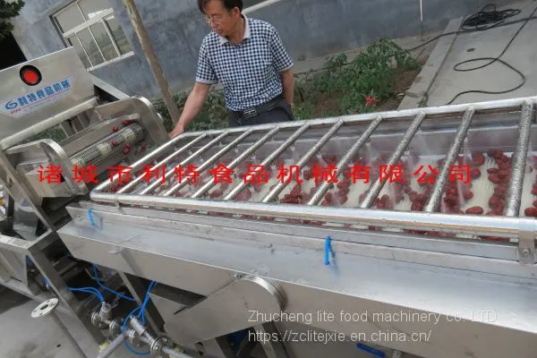 Jujube Cleaning Machine, Jujube Cleaning Line, Jujube Processing Equipment photo-2