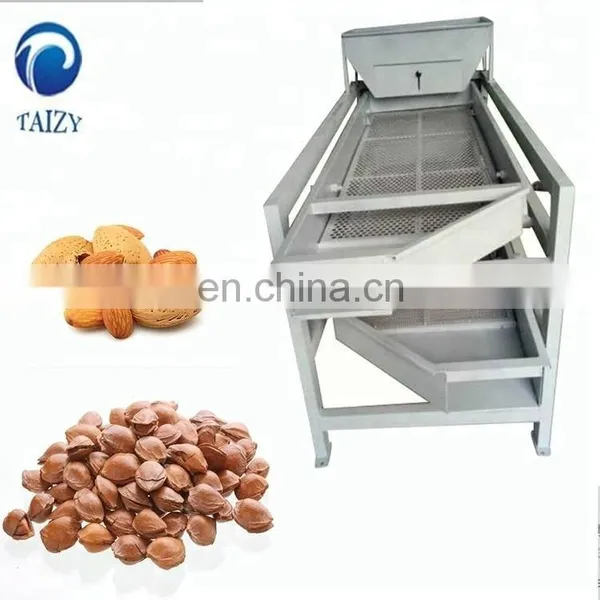 Taizy Badanmu Kernel Shelling Machine/ Badanmu Cracking Machine photo-5