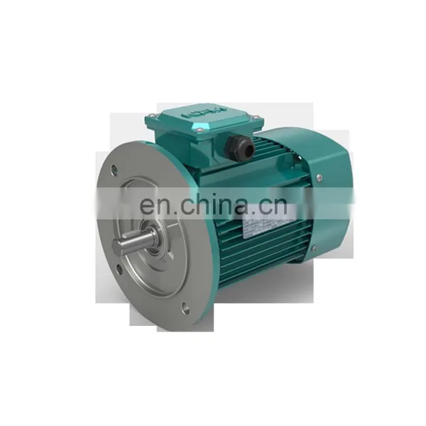 YE2 Three Phase Asynchronous Speed Motor photo-2
