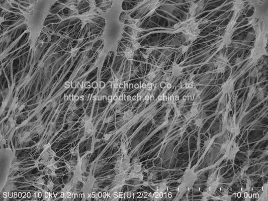  PTFE Membrane        
