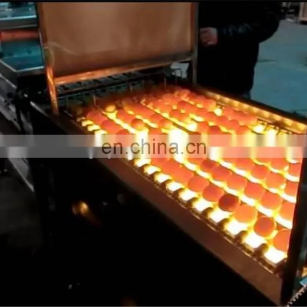 Commercial Egg Cleaning and Sorting Machine photo-4