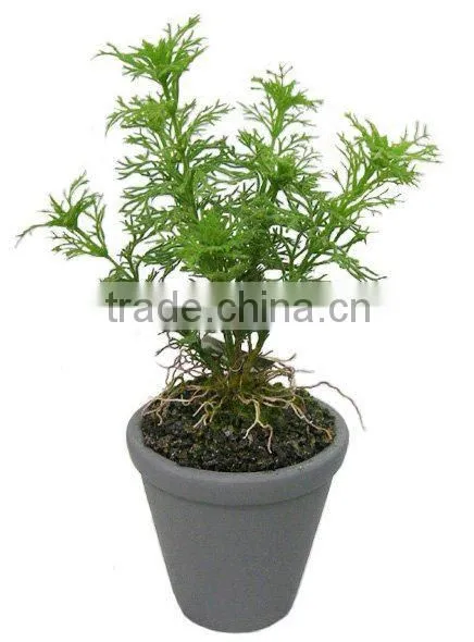 33cmH Artificial Plant Bonsai of Artificial Asagiri Grass in Ceramic Pot
