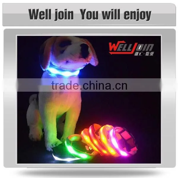 Various Good Quality Led Light Dog Collar photo-2