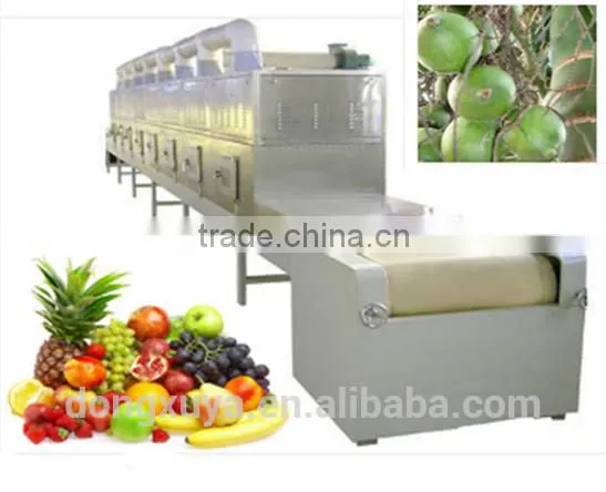 Lemon Slice Microwave Dryer Equipment photo-4
