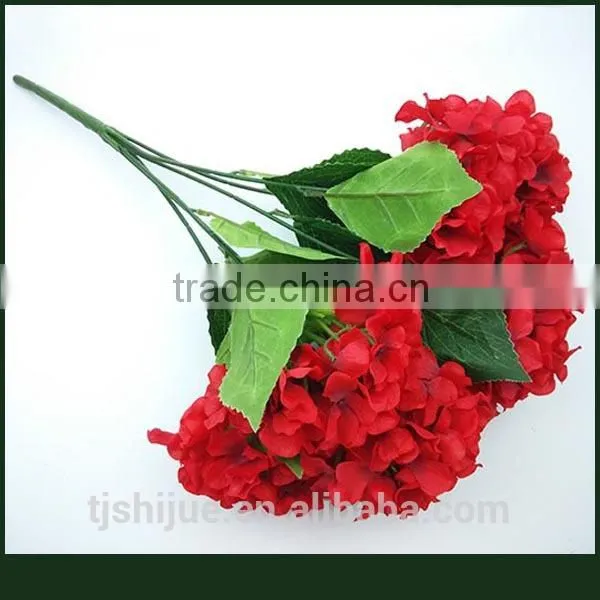 Wholesale Wedding Flowers Blue Hydrangeas Palnts photo-4