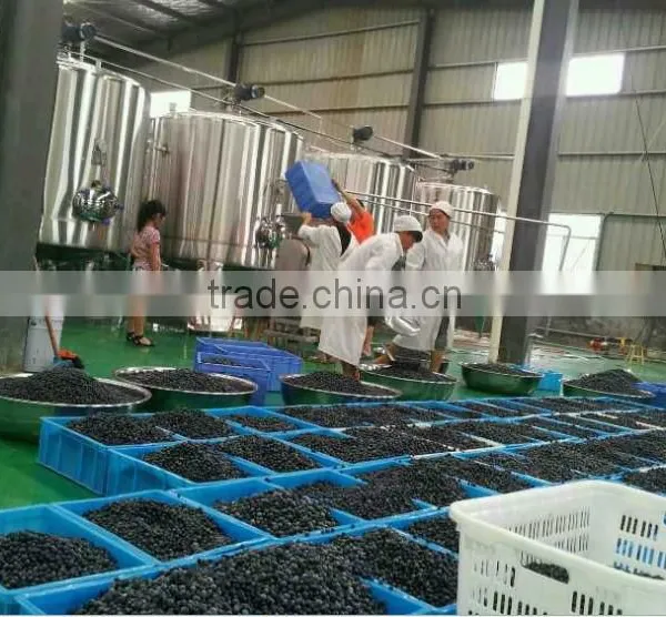 Blueberry Juice Processing Plant