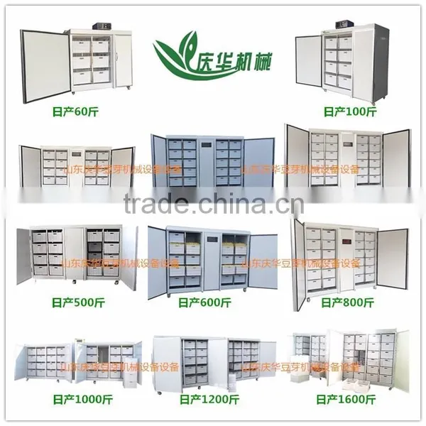 Professional Production of Bean Sprout Machinery Factory photo-2