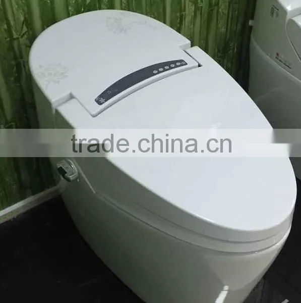 Warm Water Washing Automatic Operation Sanitary Ware Smart Toilet