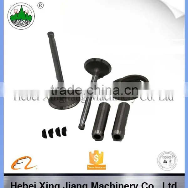 ZS1100 Valve for Diesel Engine photo-2