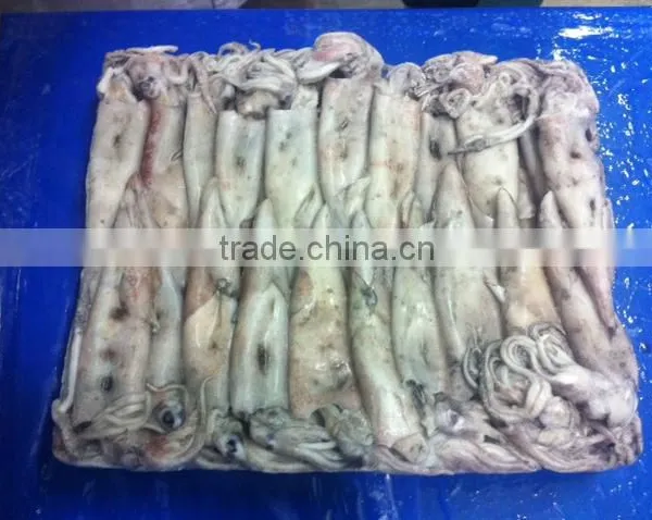 SQUID WHOLE SEMI NEEDLE photo-6
