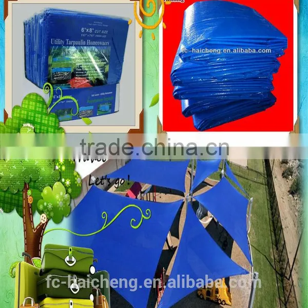 100% Virgin PE Tarpaulin Sample Birthday Design For Cover photo-3