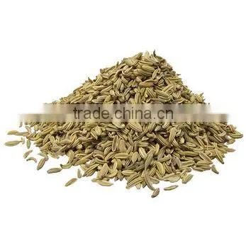 Fennel Seeds