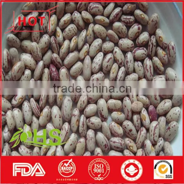 Light Coloured Speckled Kidney Beans for Sale photo-6