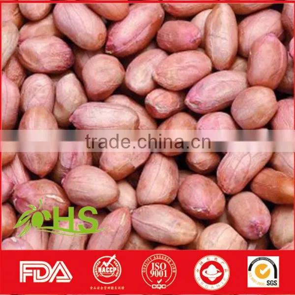 Supply New Crop and High Quality Peanut Kernels photo-5