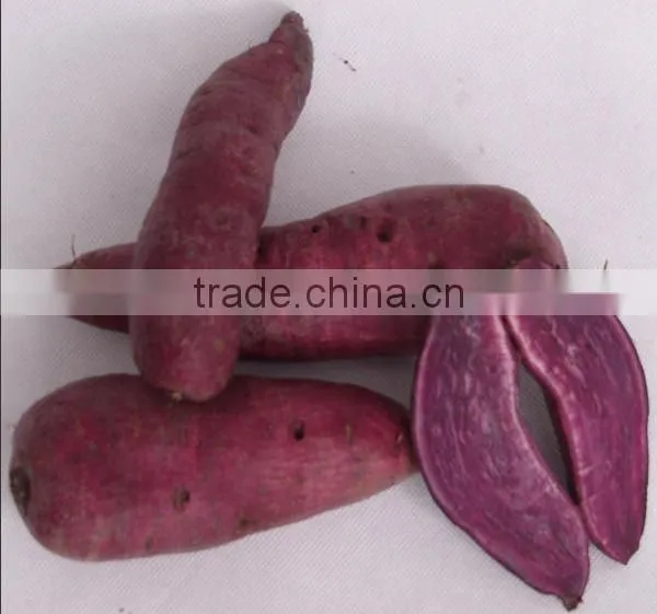 Fresh Sweet Purple Potato/red Skin Potato photo-3
