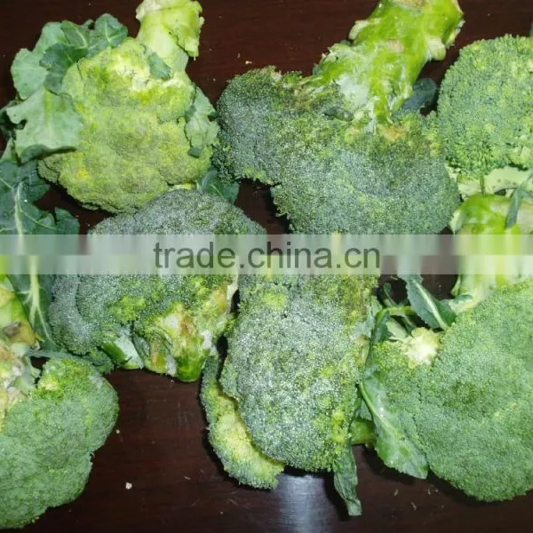 Deep Iqf Frozen Broccoli Cut Cuts Vegetable in 10kg Carton photo-2