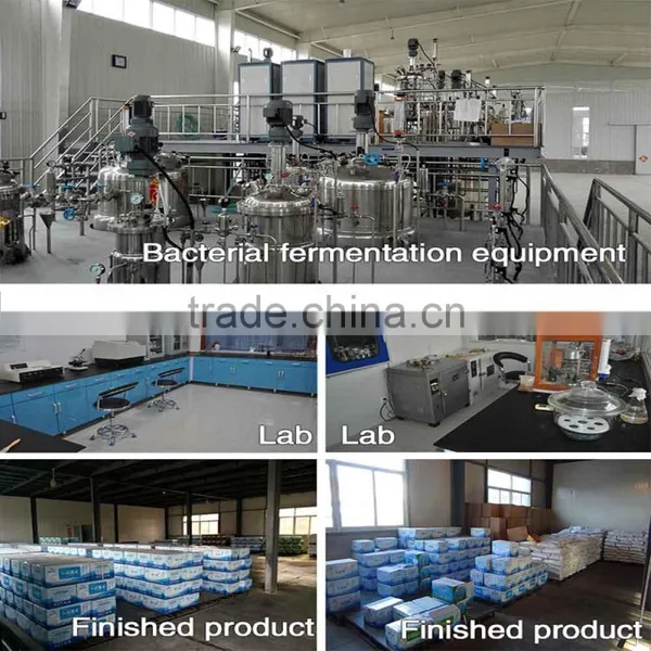 Supplier Bacillus Subtilis/product Bacillus Subtilis/manufacturing Bacillus Subtilis photo-3