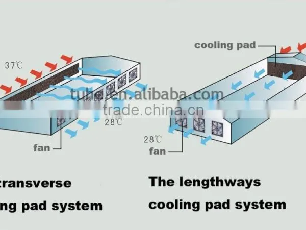 Poultry Farming Greenhouse Colorful Evaporative Honey Comb Cooling Pad photo-4