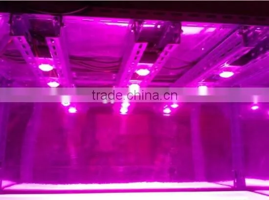 Aluminium Cob Led Light Heat Sink Cob Grow Light Kit 100w Cob Led Full Spectrum photo-4