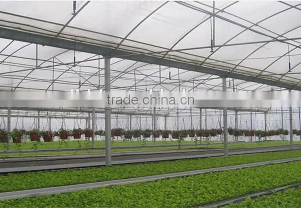 Hot Sale Multi-span Greenhouse With Vegetable Farming Equipment photo-2