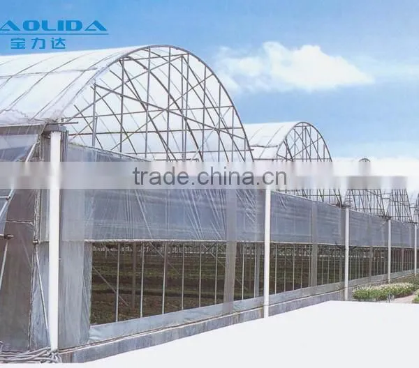 Plastic Film Greenhouse Covered By Polythene Film From China Supplier photo-4