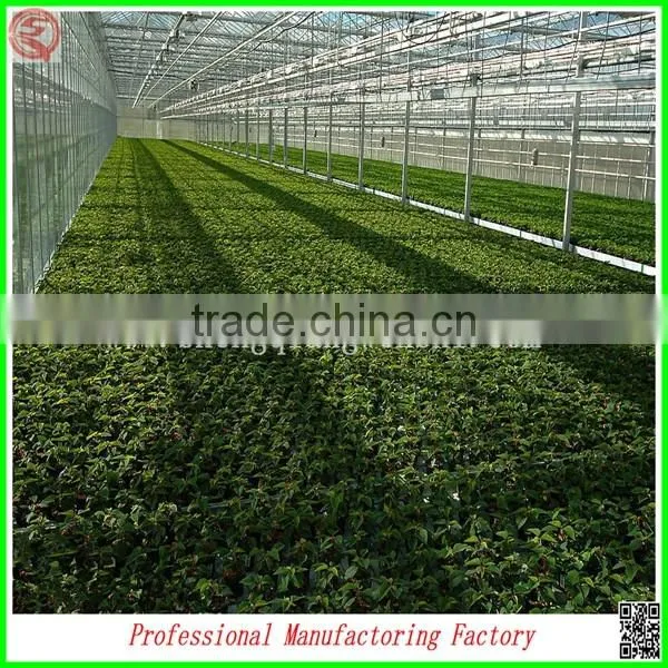 Renewable Polycarbonate Sheet Garden Greenhouses With Automatic Control System photo-3