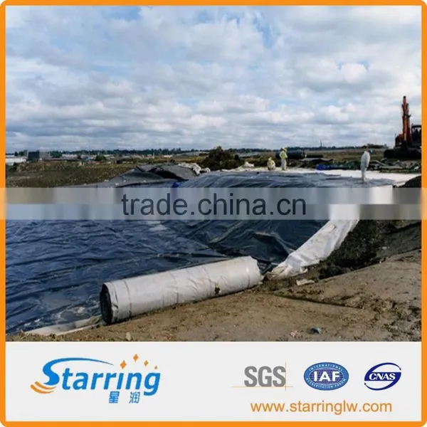 Composite Geomembrane Used in Environmental Protection photo-5
