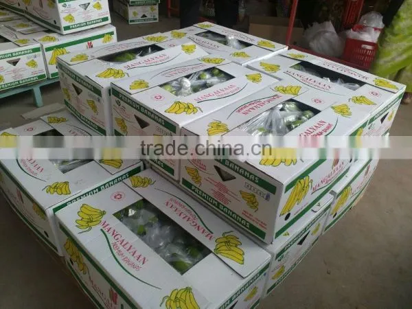 FRESH GREEN CAVENDISH BANANA photo-5