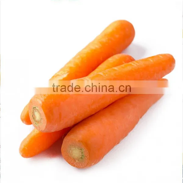 2017 Fresh Carrot Supplier in China