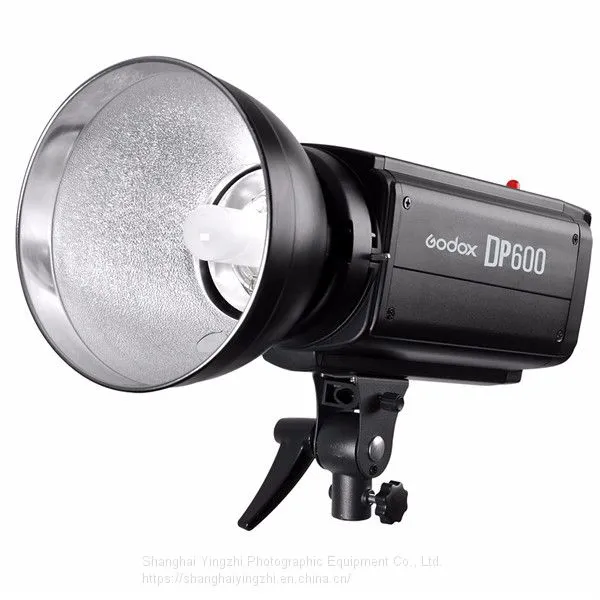 Godox DP600 Photography Studio Strobe Flash Light Power 110V/220V Light Lamp Head For Camera Studio photo-4