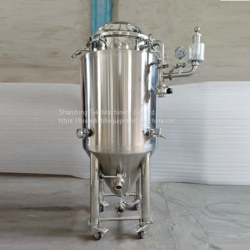 Shandong Tek Machinery 100L Beer Brewing Fermenter Tank