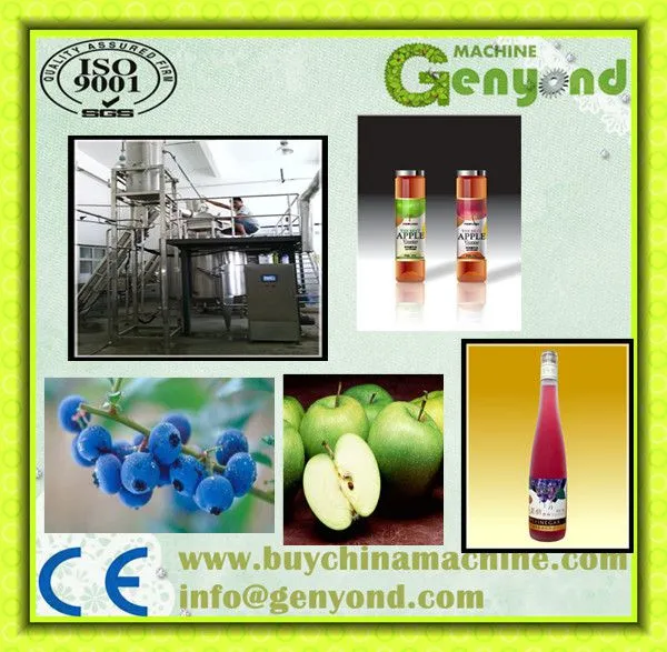 Kiwi Fruit Vinegar 1Ton Per Day Fruit Vinegar Liquid Fermentation Plant photo-3