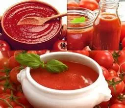Small Scale Tomato Paste Processing Plant photo-6