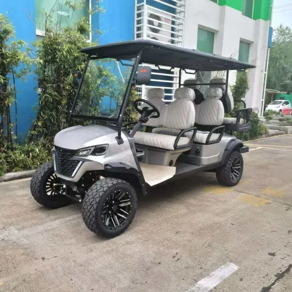 Jiangsu Likaishide, a Manufacturer of 4+ 2-seat Electric Golf Carts photo-4