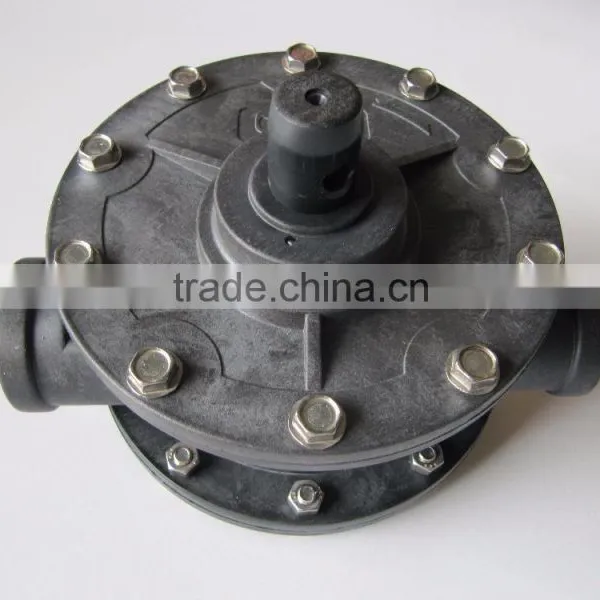 PPS Plastic Rotary Pump photo-3