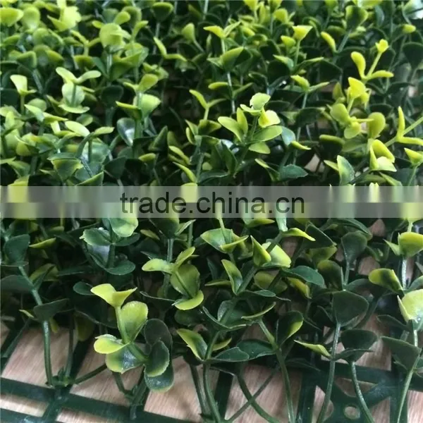 New Designe Artificial Hot Sale Leaf Green Wall for Garden Decor photo-4